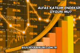 Alfas Katılım Endeksine Uygun mu?