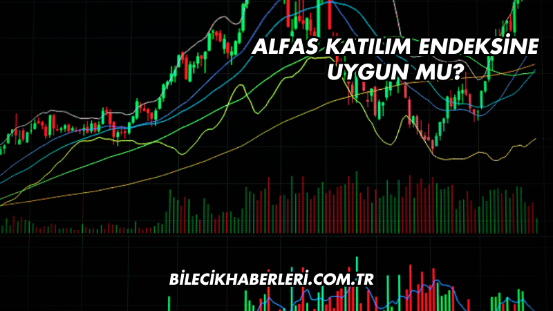 Alfas Katılım Endeksine Uygun mu?