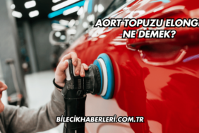 Aort Topuzu Elonge Ne Demek?