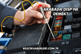 Arabada DISP Ne Demek?