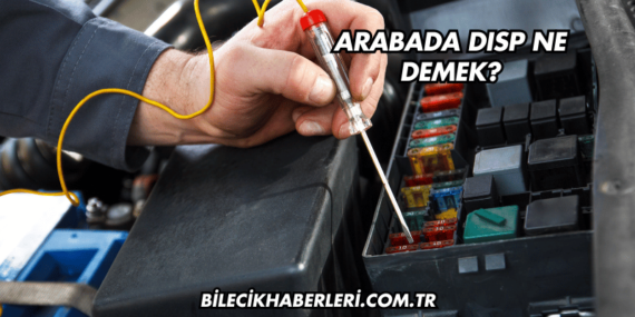 Arabada DISP Ne Demek?