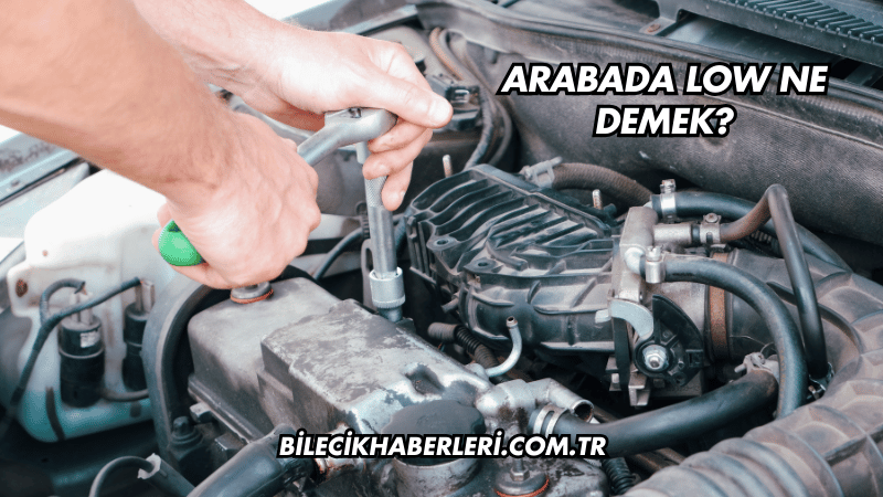 Arabada Low Ne Demek?