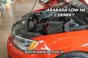 Arabada Low Ne Demek?