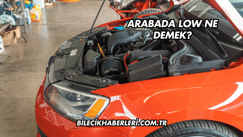 Arabada Low Ne Demek?