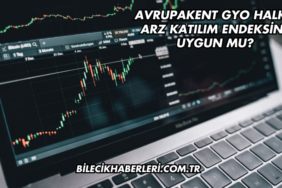 Avrupakent GYO Halka Arz Katılım Endeksine Uygun mu?