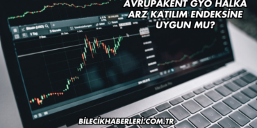 Avrupakent GYO Halka Arz Katılım Endeksine Uygun mu?