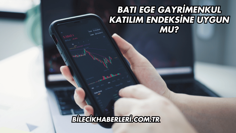 Batı Ege Gayrimenkul Katılım Endeksine Uygun mu?