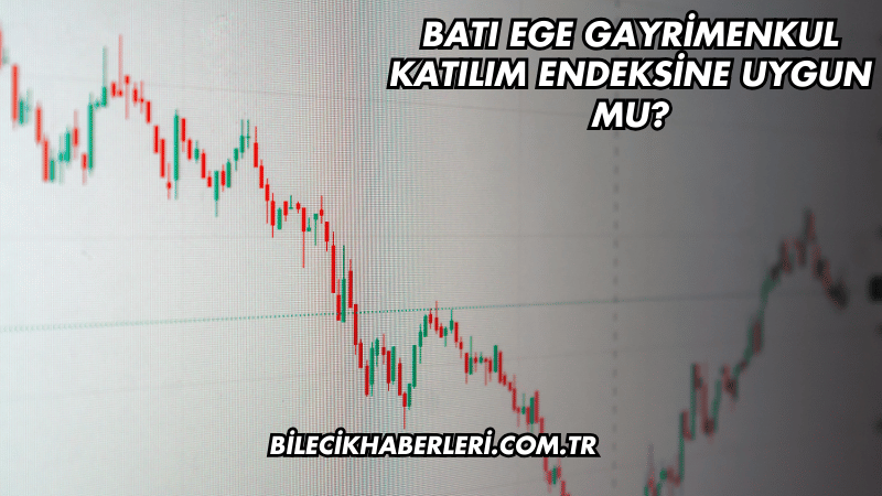 Batı Ege Gayrimenkul Katılım Endeksine Uygun mu?