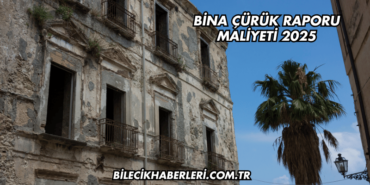 Bina Çürük Raporu Maliyeti 2025