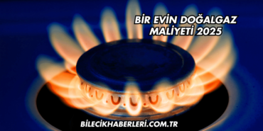 Bir Evin Doğalgaz Maliyeti 2025