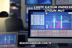 CANTE Katılım Endeksine Uygun mu?