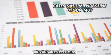 ÇATES Katılım Endeksine Uygun mu?