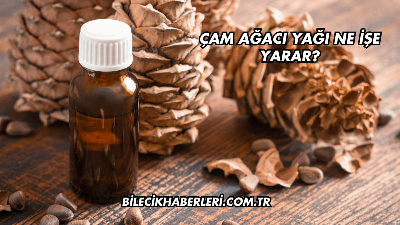 Çam Ağacı Yağı Ne İşe Yarar?