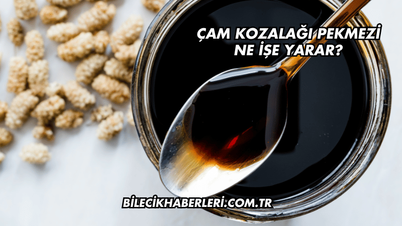 Çam Kozalağı Pekmezi Ne İşe Yarar?