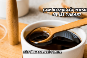 Çam Kozalağı Pekmezi Ne İşe Yarar?