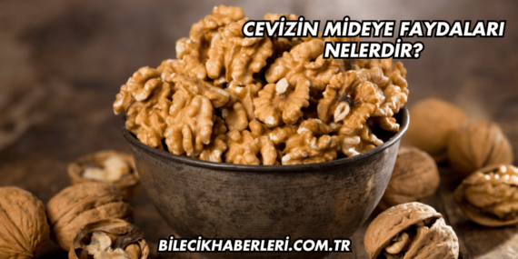 Cevizin Mideye Faydaları Nelerdir?