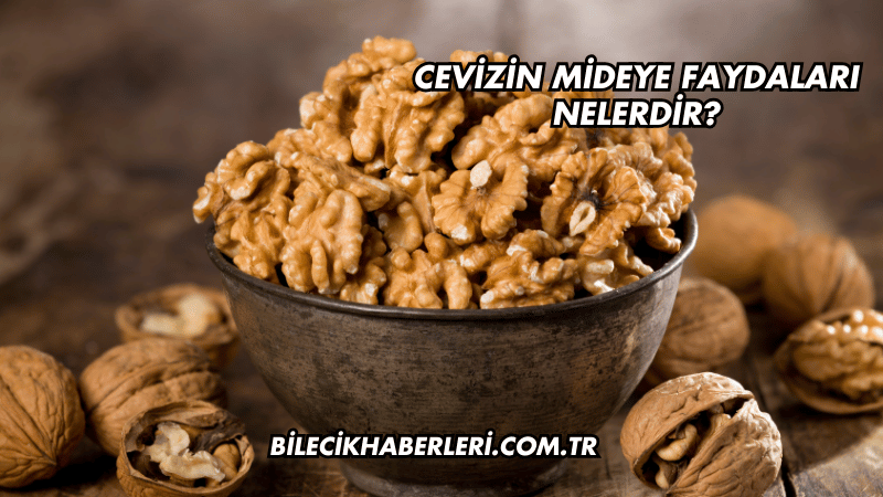 Cevizin Mideye Faydaları Nelerdir?
