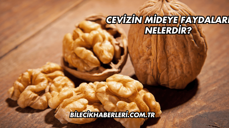 Cevizin Mideye Faydaları Nelerdir?