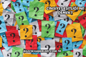 Cinsiyet Eşitliği Ne Demek?