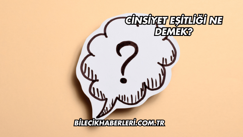 Cinsiyet Eşitliği Ne Demek?