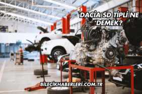 Dacia SD Tipli Ne Demek?