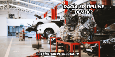 Dacia SD Tipli Ne Demek?