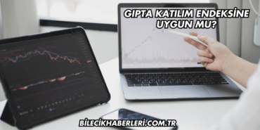 Gıpta Katılım Endeksine Uygun mu?