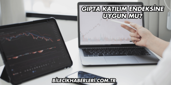Gıpta Katılım Endeksine Uygun mu?