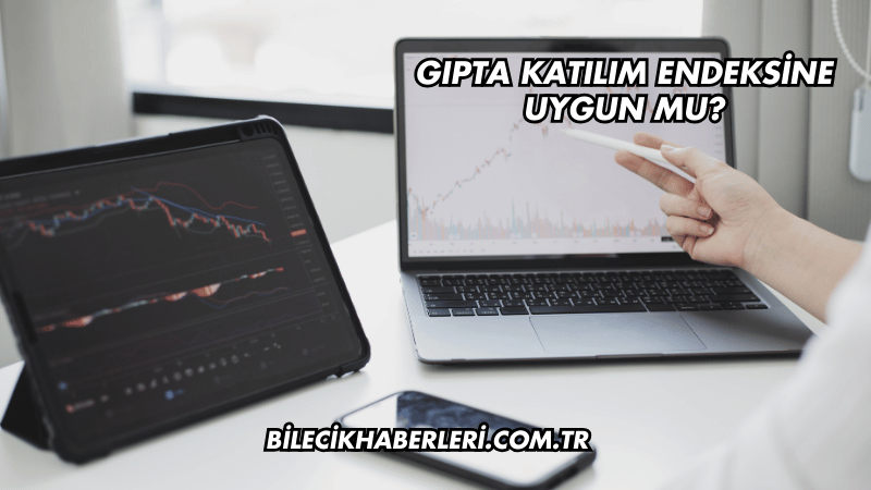 Gıpta Katılım Endeksine Uygun mu?