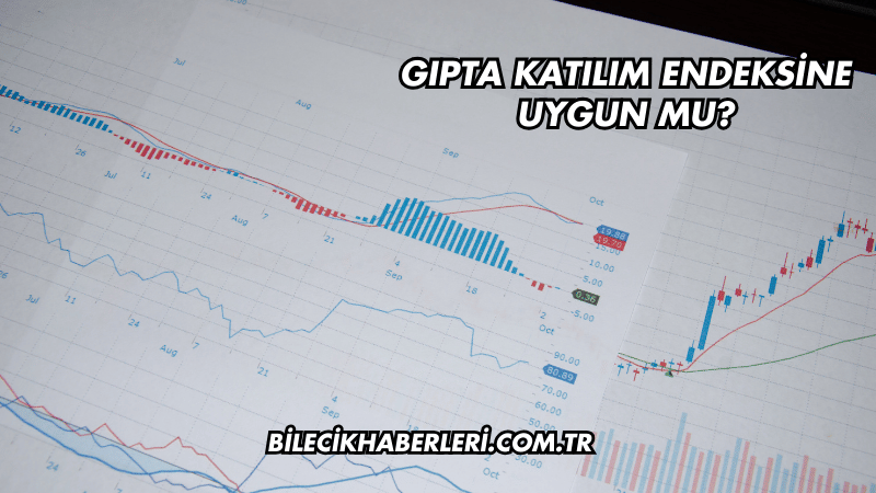 Gıpta Katılım Endeksine Uygun mu?