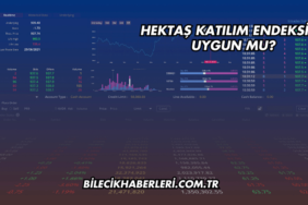 Hektaş Katılım Endeksine Uygun mu?