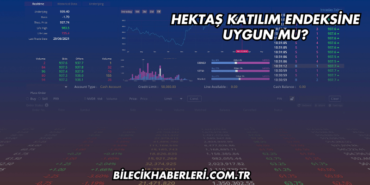 Hektaş Katılım Endeksine Uygun mu?