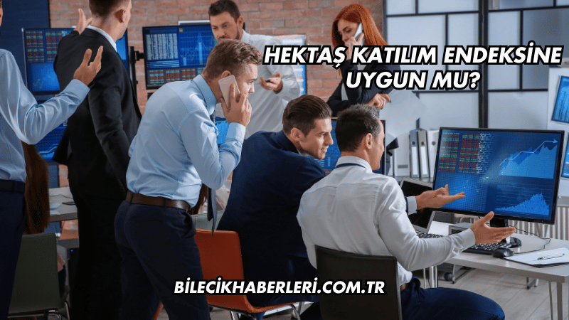 Hektaş Katılım Endeksine Uygun mu?