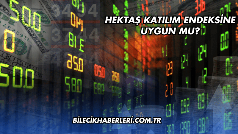 Hektaş Katılım Endeksine Uygun mu?
