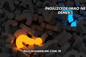 İngilizcede IMAO Ne Demek?