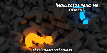İngilizcede IMAO Ne Demek?