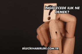 İngilizcede Ilık Ne Demek?