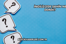 İngilizcede Şahin Ne Demek?