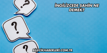 İngilizcede Şahin Ne Demek?