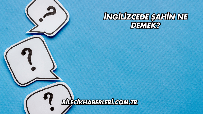 İngilizcede Şahin Ne Demek?