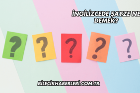 İngilizcede Şayze Ne Demek?