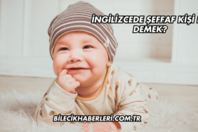 İngilizcede Şeffaf Kişi Ne Demek?