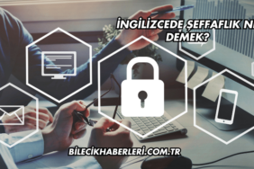İngilizcede Şeffaflık Ne Demek?