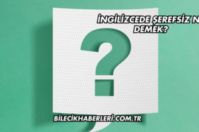 İngilizcede Şerefsiz Ne Demek?
