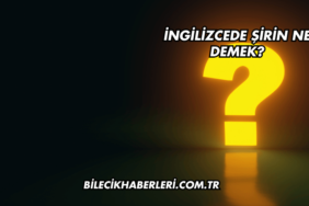 İngilizcede Şirin Ne Demek?