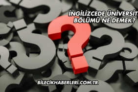 İngilizcede Üniversite Bölümü Ne Demek?