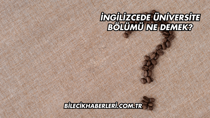 İngilizcede Üniversite Bölümü Ne Demek?