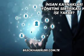 İnsan Kaynakları Yönetimi Sertifikası Ne İşe Yarar?