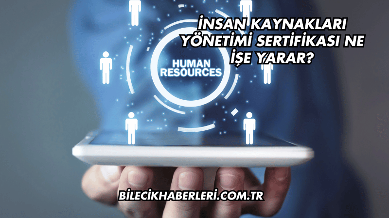 İnsan Kaynakları Yönetimi Sertifikası Ne İşe Yarar?