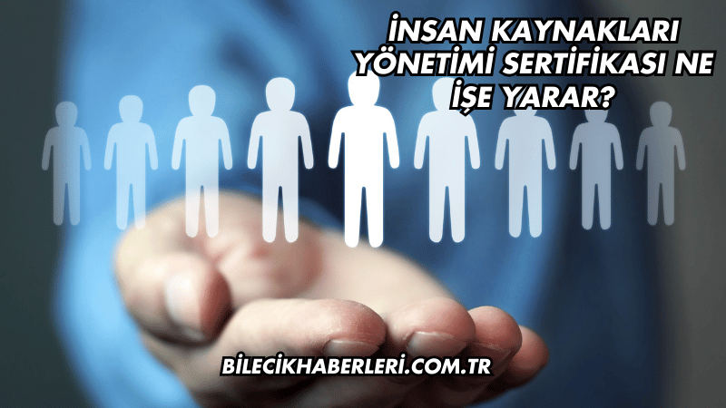 İnsan Kaynakları Yönetimi Sertifikası Ne İşe Yarar?